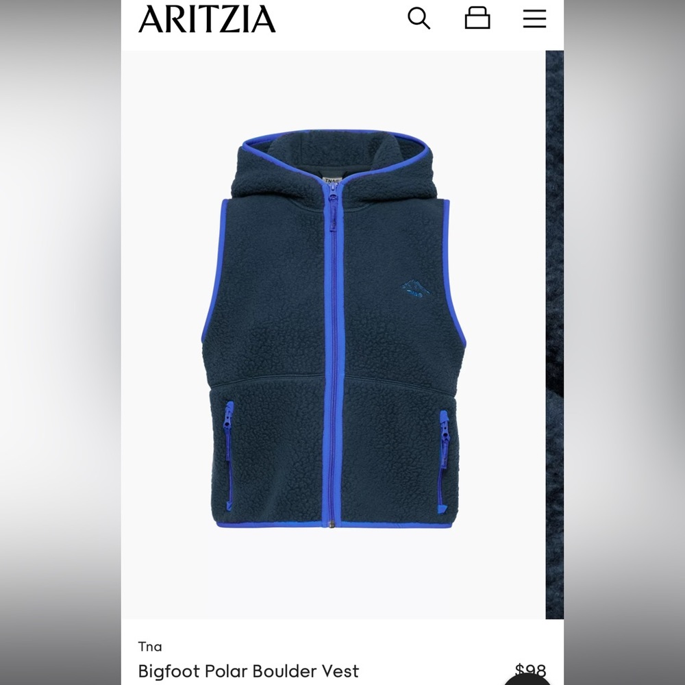 Aritzia vest